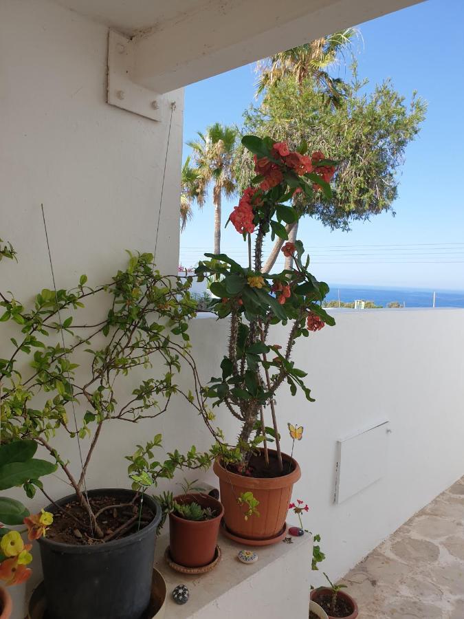 Ikaria Village-Ground Floor Apartment No 4 Klorakas Exterior foto